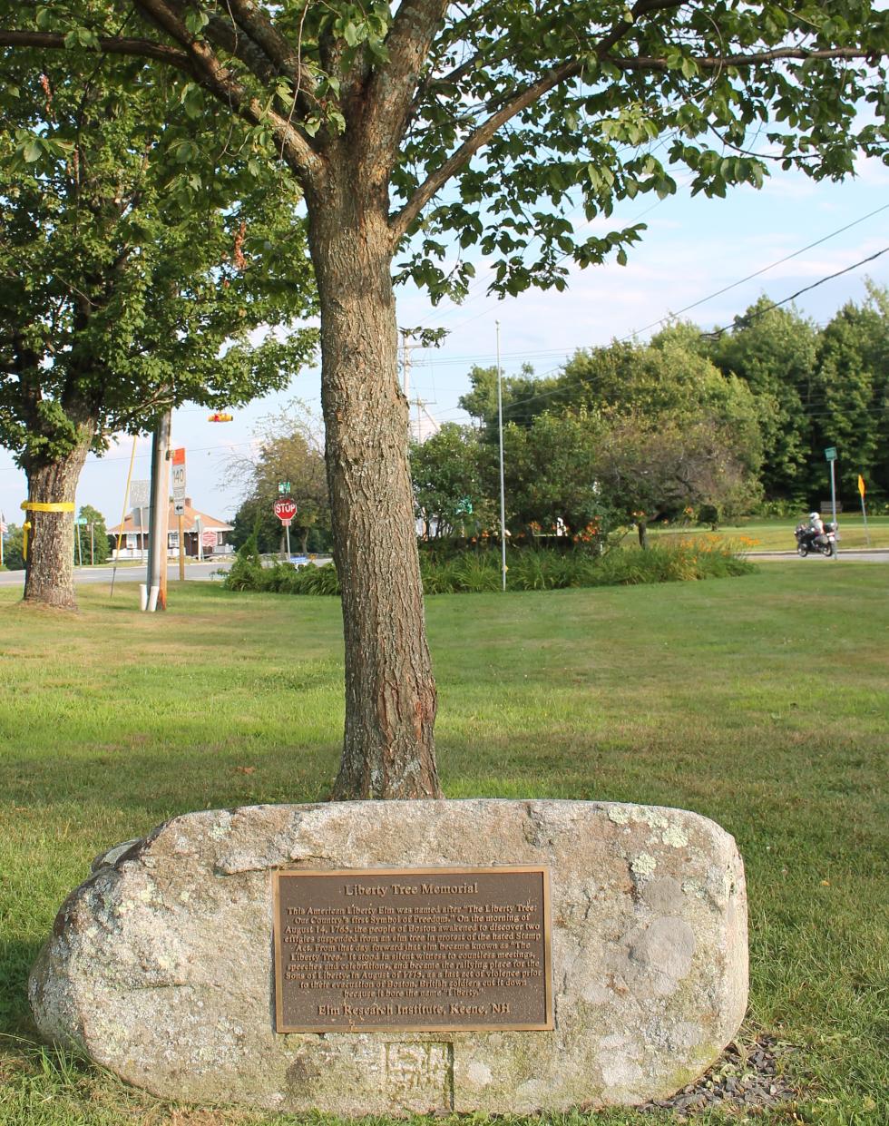 Princeton Massachusetts Liberty Tree