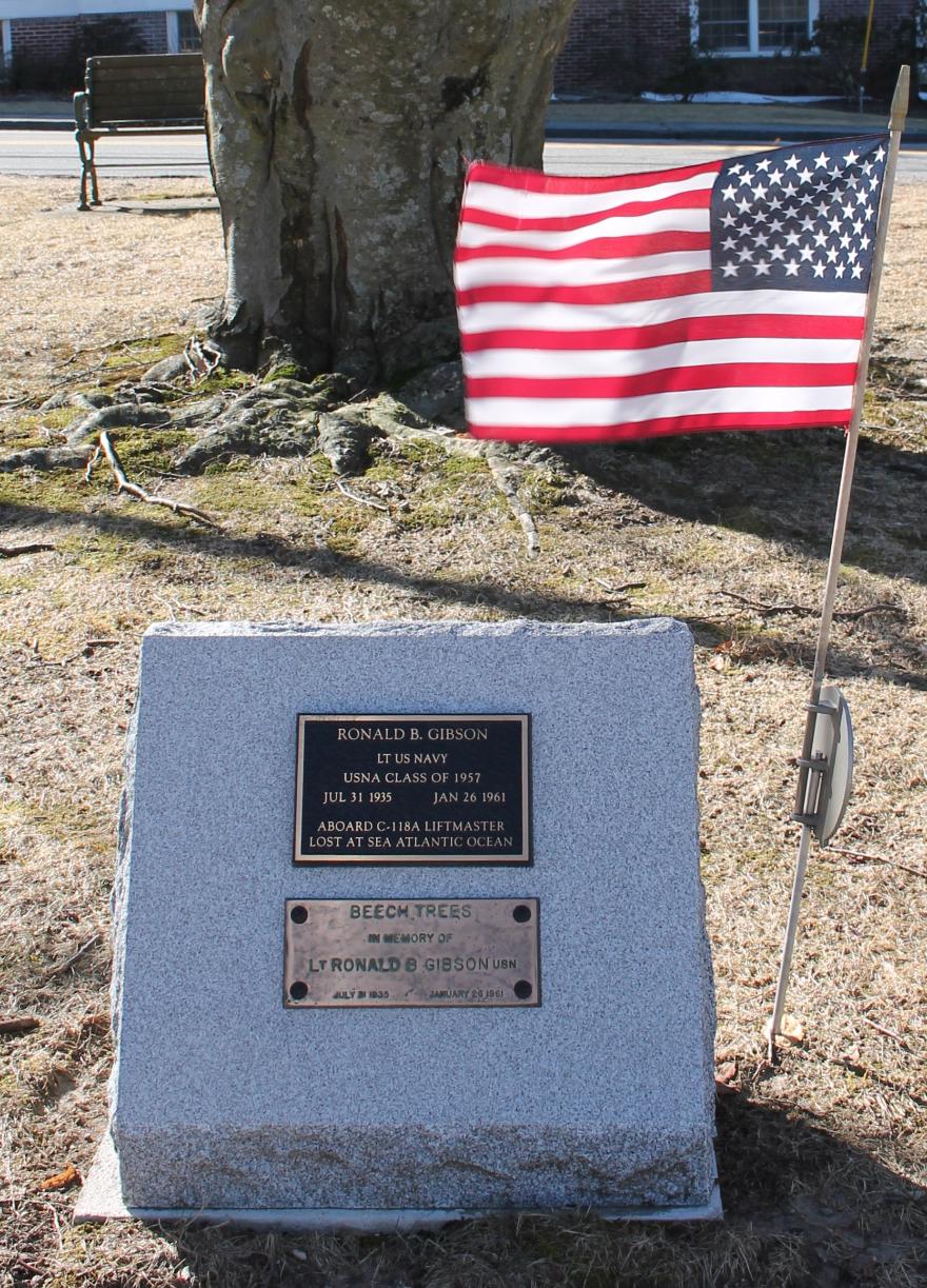 Sutton Mass Ronald Gibson Memorial Beech Tree