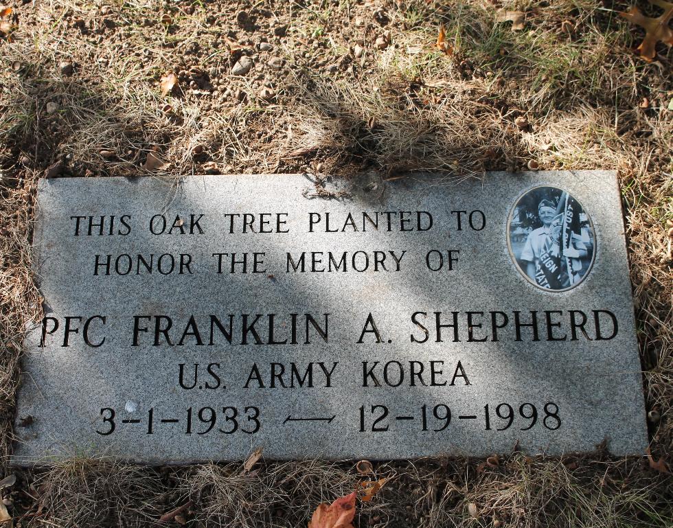 Franklin A Shepherd Memorial Oak Tree - Townsend Massachusetts